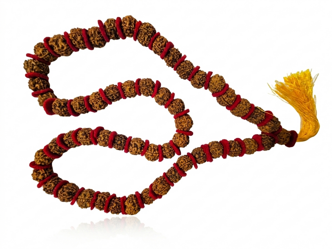 Rudrakhs Mala