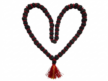 Rudrakhs Mala