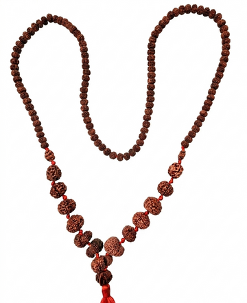 Rudrakhs Mala 1-14 mukhi & Ganesh rudrkahs