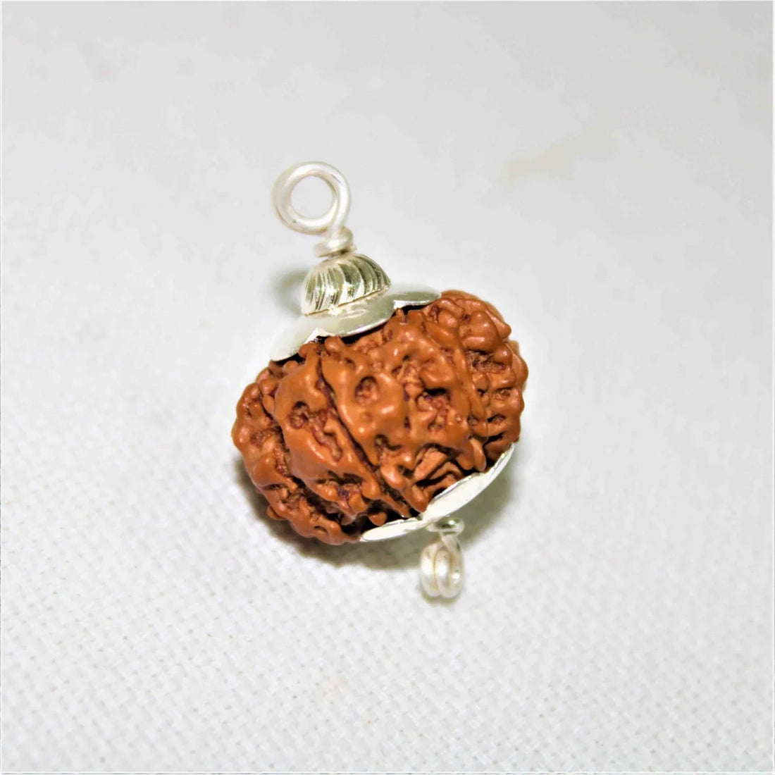 8 Mukhi rudraksha