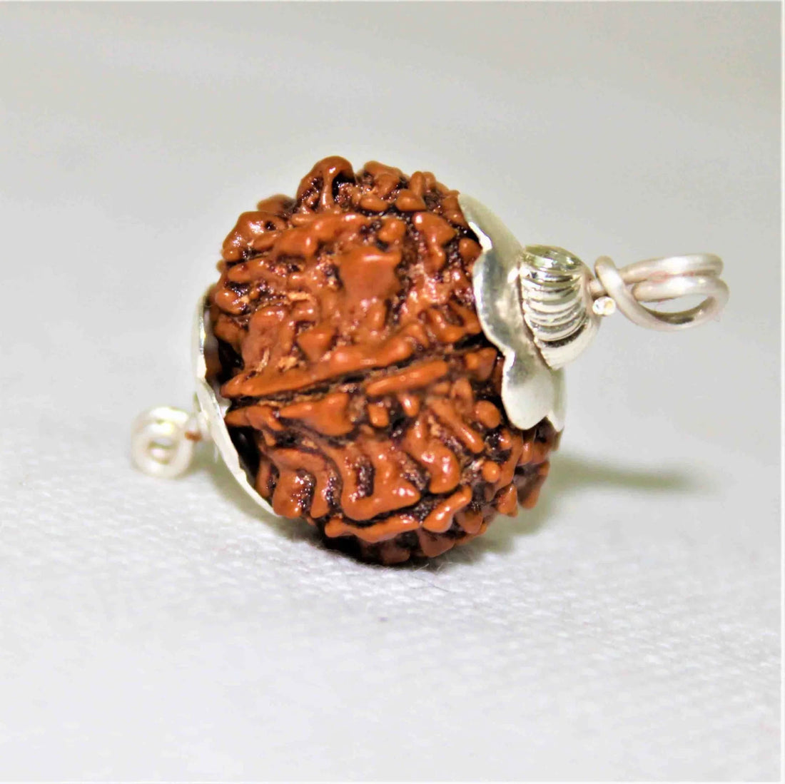 9 Mukhi rudraksha